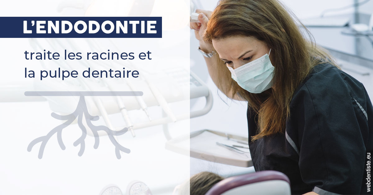 https://selarl-docteur-daniel-benichou.chirurgiens-dentistes.fr/L'endodontie 1