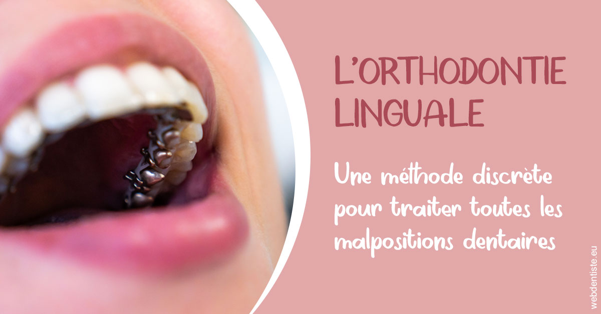 https://selarl-docteur-daniel-benichou.chirurgiens-dentistes.fr/L'orthodontie linguale 2